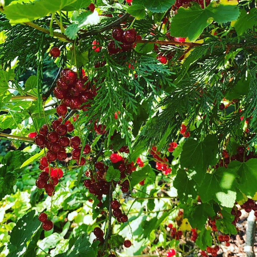 Palac Osowo Gostynskie Ngoại thất bức ảnh